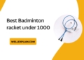 Best Badminton Racket Under 1000