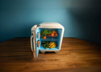 Godrej Mini Fridge 30 Litre